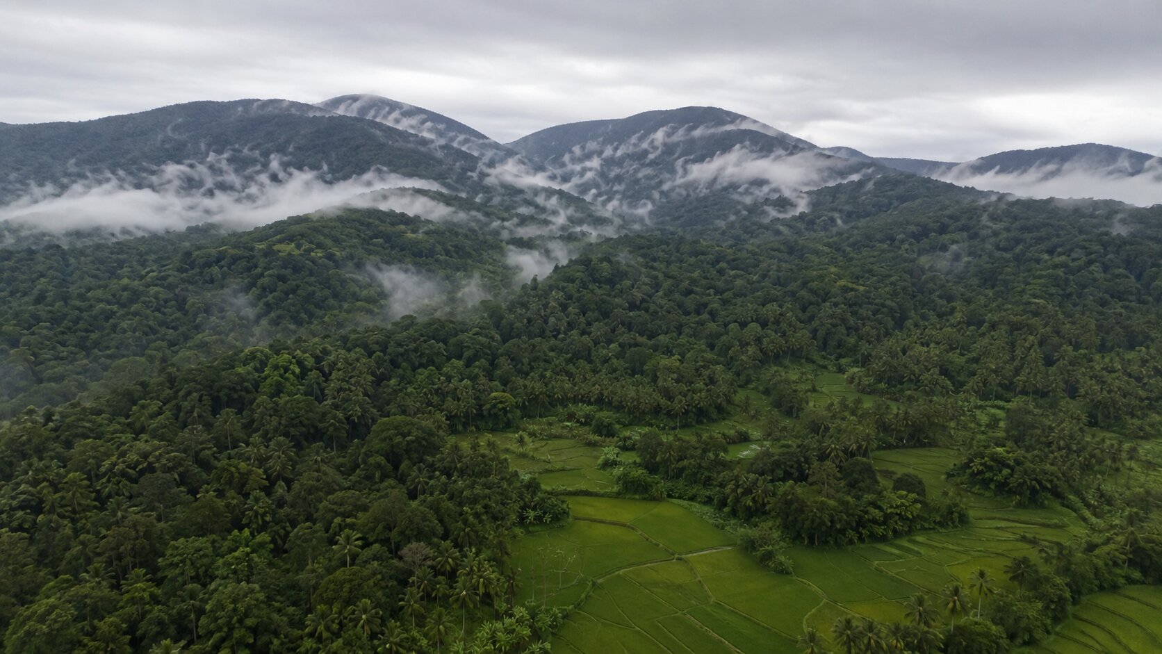 Aerial view of mist rolling over the forested Malnad hills and areca palms near Thirthahalli