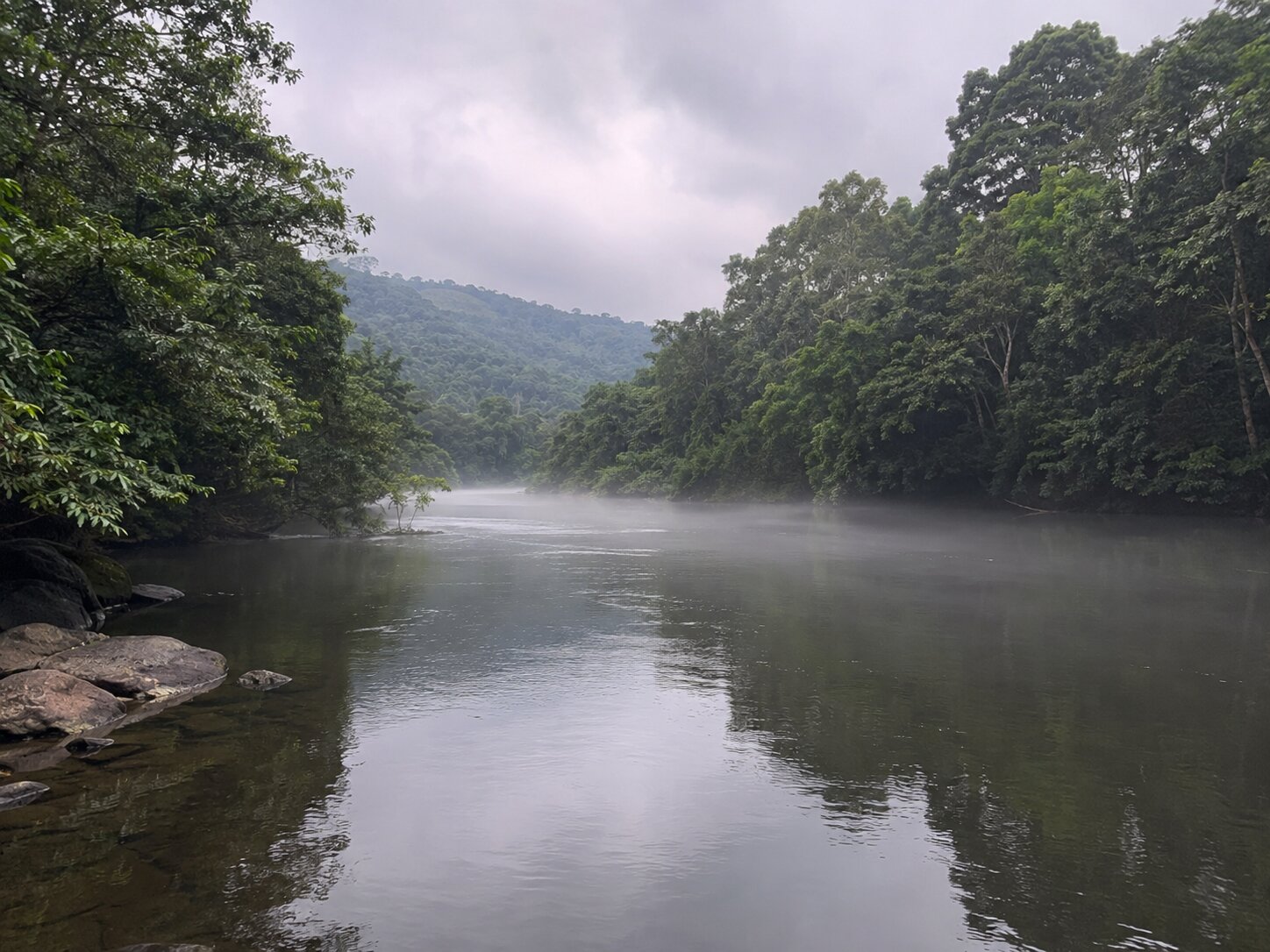 The Tunga river running still and misty through dense forest near Thirthahalli